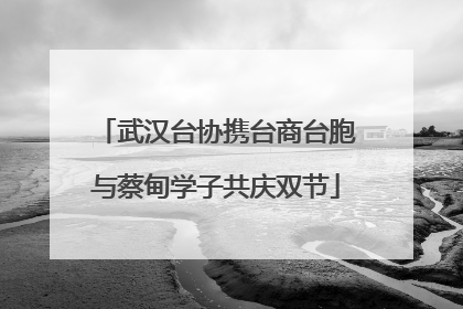 武汉台协携台商台胞与蔡甸学子共庆双节