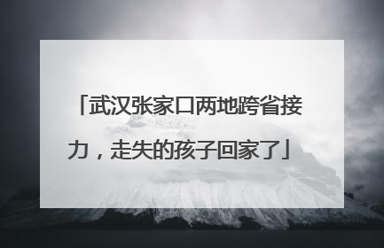 武汉张家口两地跨省接力，走失的孩子回家了