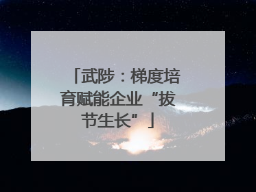 武陟：梯度培育赋能企业“拔节生长”