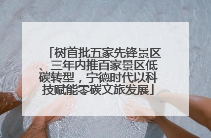 树首批五家先锋景区、三年内推百家景区低碳转型，宁德时代以科技赋能零碳文旅发展