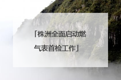 株洲全面启动燃气表首检工作