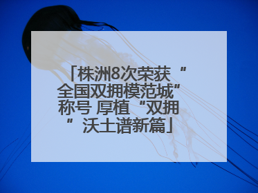 株洲8次荣获“全国双拥模范城”称号 厚植“双拥”沃土谱新篇