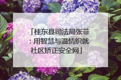 桂东县司法局张菲：用智慧与温情织就社区矫正安全网