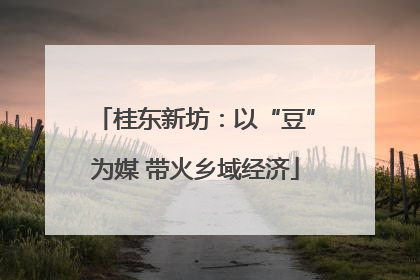 桂东新坊：以“豆”为媒 带火乡域经济