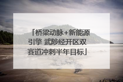 桥梁动脉+新能源引擎 武陟经开区双赛道冲刺半年目标