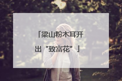 梁山粉木耳开出“致富花”