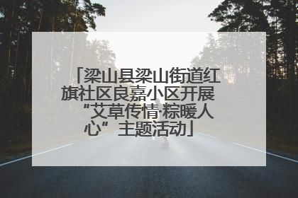 梁山县梁山街道红旗社区良嘉小区开展“艾草传情·粽暖人心”主题活动