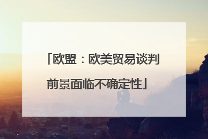 欧盟：欧美贸易谈判前景面临不确定性