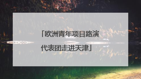 欧洲青年项目路演代表团走进天津