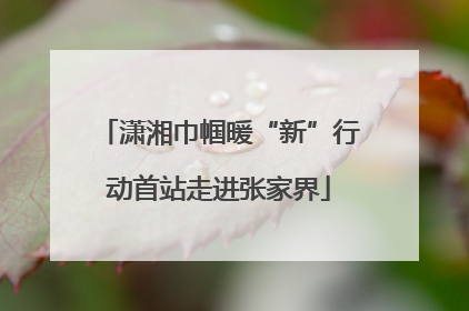 潇湘巾帼暖“新”行动首站走进张家界