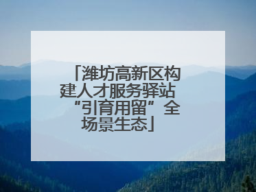 潍坊高新区构建人才服务驿站“引育用留”全场景生态