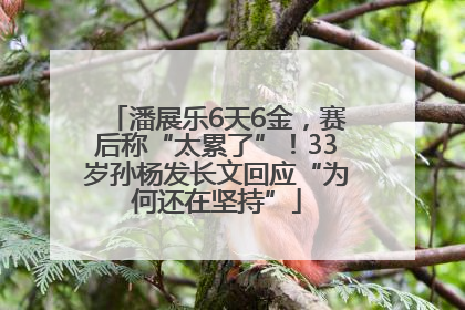 潘展乐6天6金，赛后称“太累了”！33岁孙杨发长文回应“为何还在坚持”