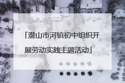 潜山市河镇初中组织开展劳动实践主题活动