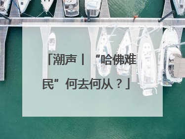 潮声丨“哈佛难民”何去何从？