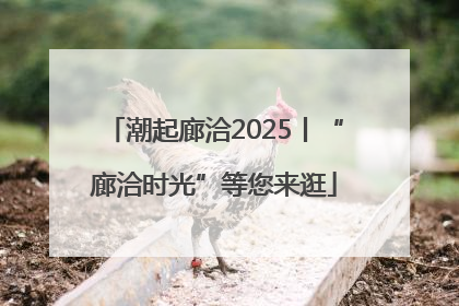 潮起廊洽2025丨“廊洽时光”等您来逛