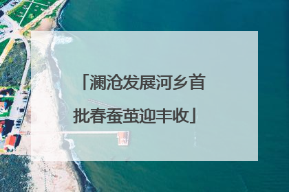 澜沧发展河乡首批春蚕茧迎丰收