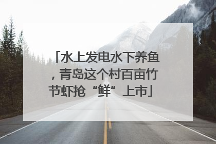 水上发电水下养鱼，青岛这个村百亩竹节虾抢“鲜”上市