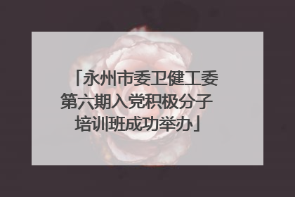 永州市委卫健工委第六期入党积极分子培训班成功举办