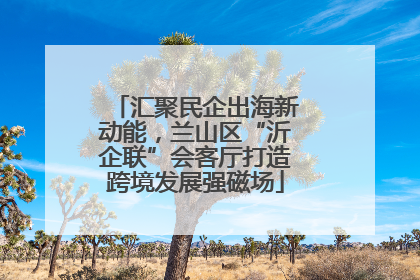 汇聚民企出海新动能，兰山区“沂企联”会客厅打造跨境发展强磁场