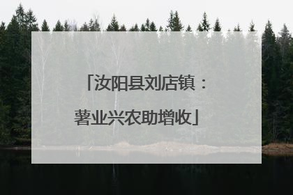 汝阳县刘店镇：薯业兴农助增收