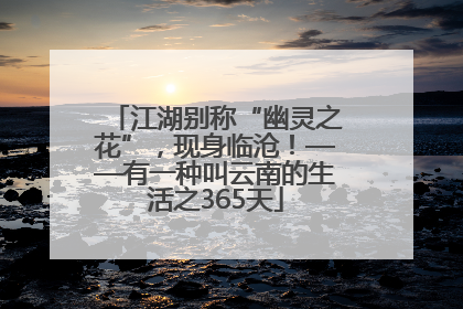 江湖别称“幽灵之花”，现身临沧！——有一种叫云南的生活之365天