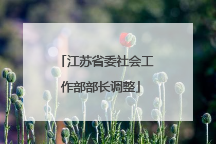 江苏省委社会工作部部长调整