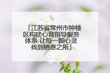 江苏省常州市钟楼区构建心育指导服务体系 让每一颗心灵找到栖息之所