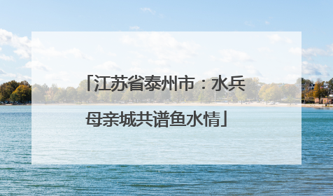 江苏省泰州市：水兵母亲城共谱鱼水情