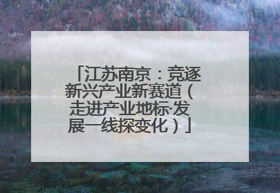 江苏南京：竞逐新兴产业新赛道（走进产业地标·发展一线探变化）