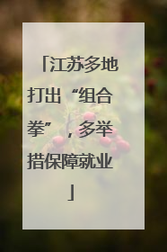江苏多地打出“组合拳”，多举措保障就业
