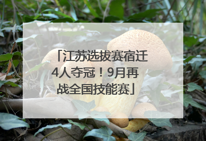 江苏选拔赛宿迁4人夺冠！9月再战全国技能赛
