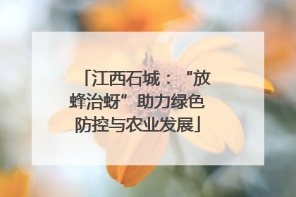 江西石城：“放蜂治蚜”助力绿色防控与农业发展