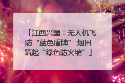 江西兴国：无人机飞防“蓝色盾牌” 烟田筑起“绿色防火墙”