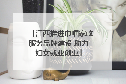 江西推进巾帼家政服务品牌建设 助力妇女就业创业