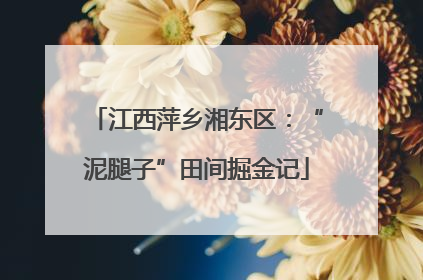 江西萍乡湘东区：“泥腿子”田间掘金记