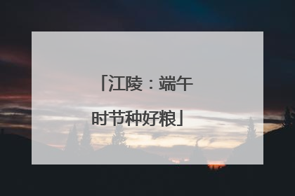 江陵：端午时节种好粮