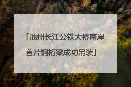 池州长江公铁大桥南岸首片钢桁梁成功吊装