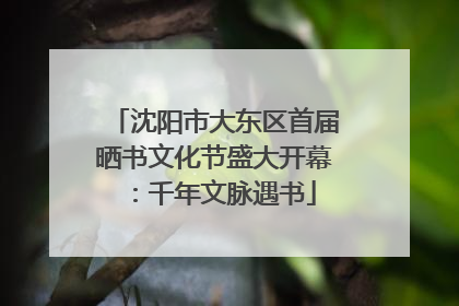 沈阳市大东区首届晒书文化节盛大开幕：千年文脉遇书
