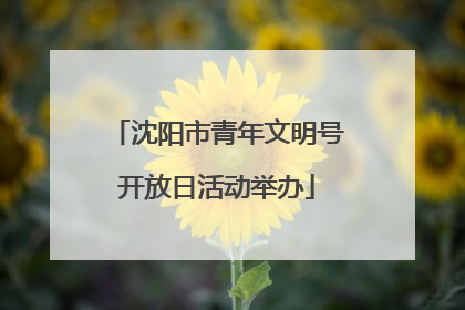 沈阳市青年文明号开放日活动举办