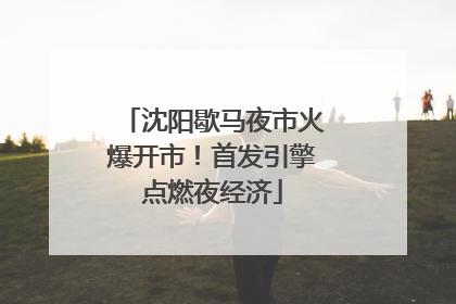沈阳歇马夜市火爆开市！首发引擎点燃夜经济