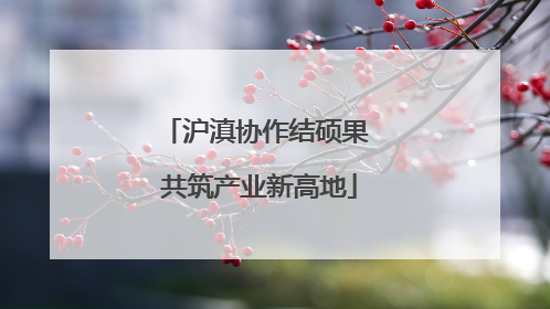 沪滇协作结硕果 共筑产业新高地