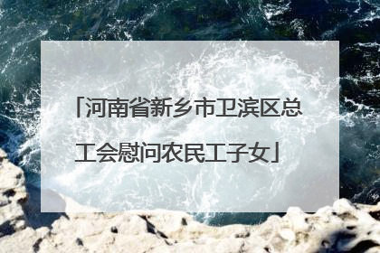 河南省新乡市卫滨区总工会慰问农民工子女