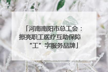 河南南阳市总工会：擦亮职工医疗互助保障“工”字服务品牌