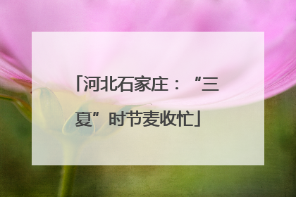 河北石家庄：“三夏”时节麦收忙