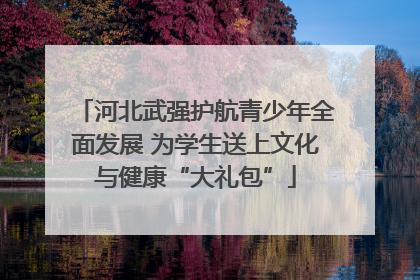 河北武强护航青少年全面发展 为学生送上文化与健康“大礼包”