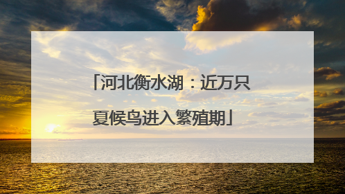 河北衡水湖：近万只夏候鸟进入繁殖期