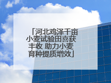 河北鸡泽千亩小麦试验田喜获丰收 助力小麦育种提质增效