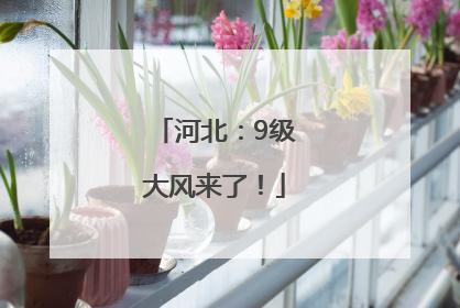 河北：9级大风来了！