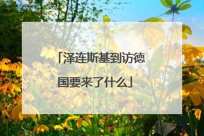 泽连斯基到访德国要来了什么
