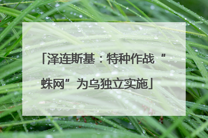 泽连斯基：特种作战“蛛网”为乌独立实施